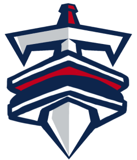 Tennessee Titans Fat Logo DIY iron on transfer (heat transfer)